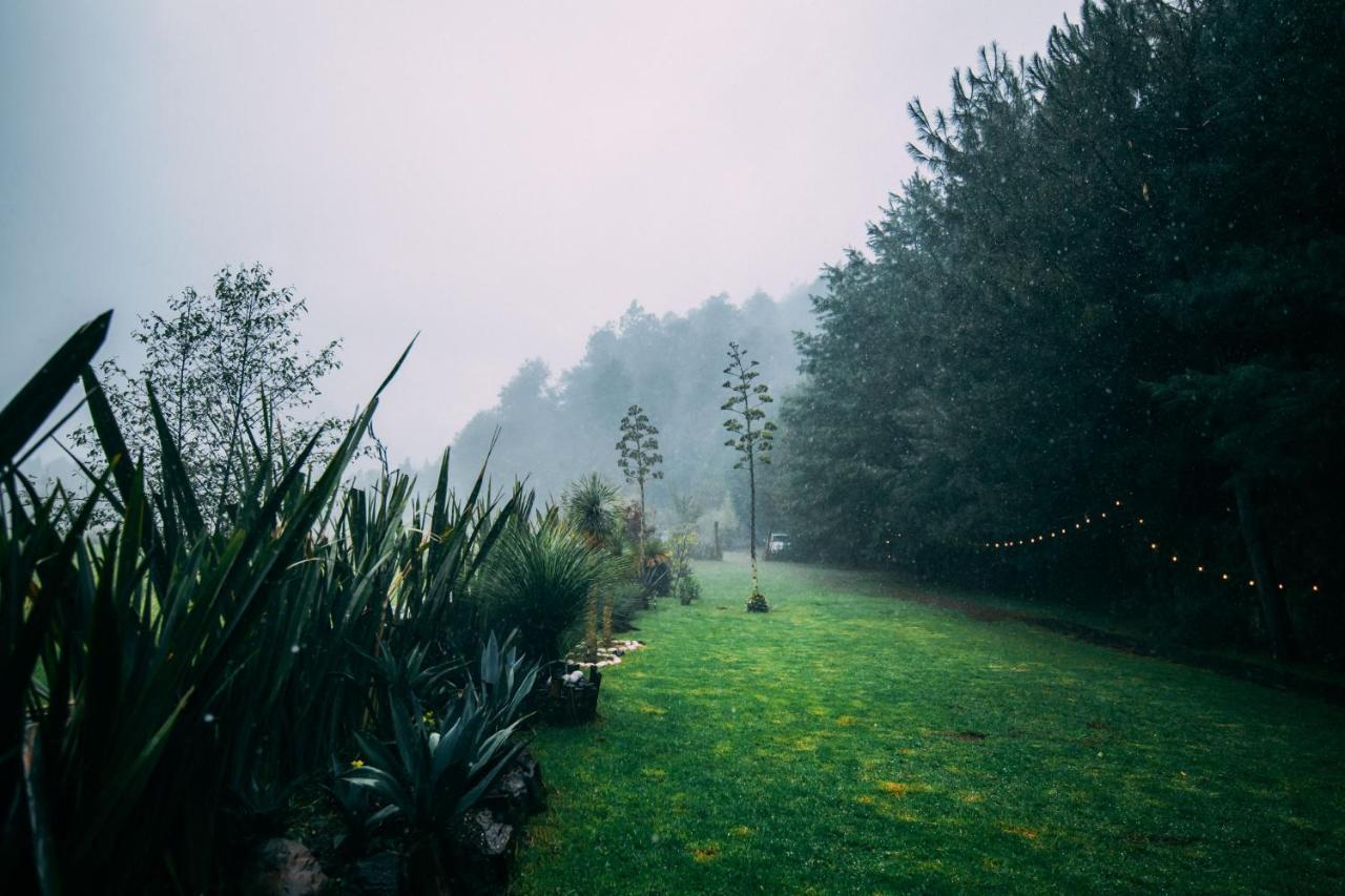 Boscoso Hotel Boutique Valle de Bravo Dış mekan fotoğraf
